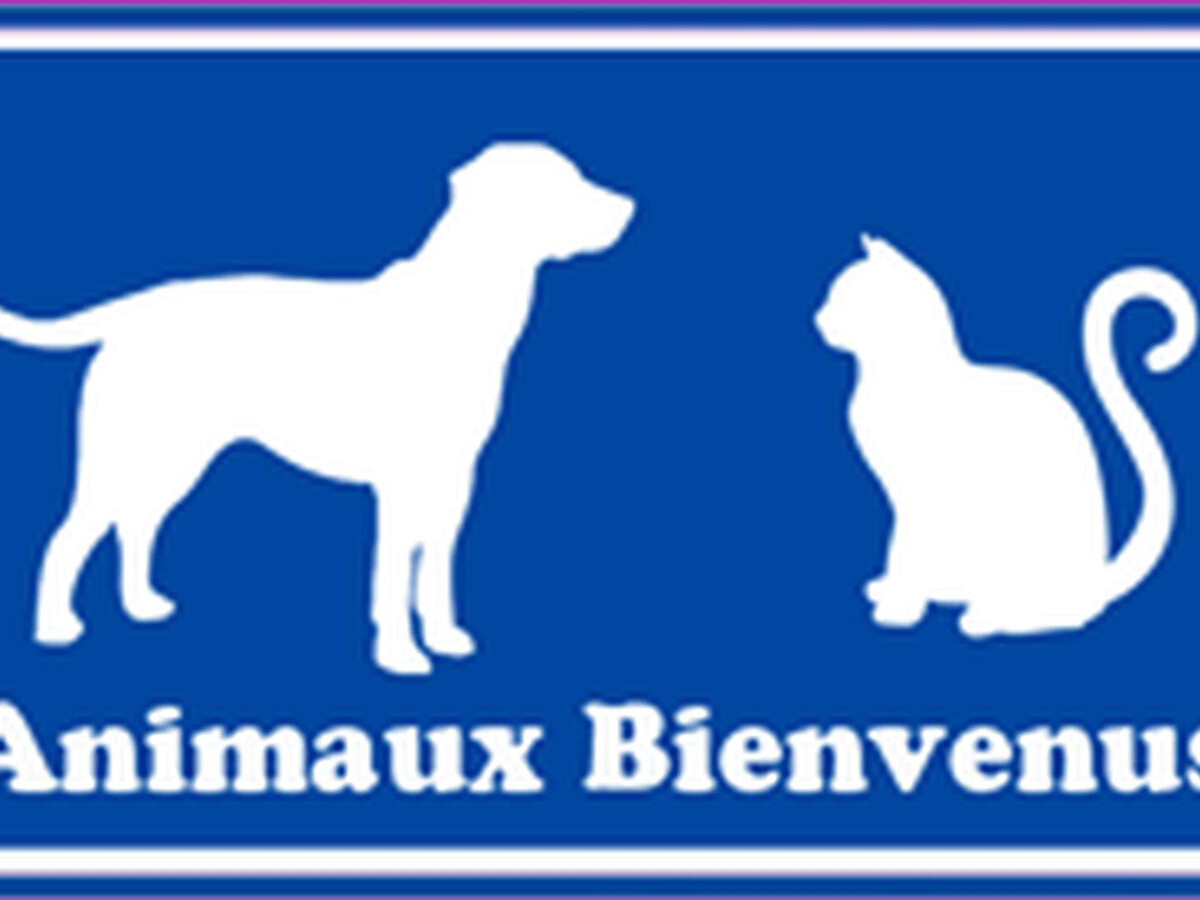 T2 front de mer Saint-Cyprien, parking et animaux - Photo 24