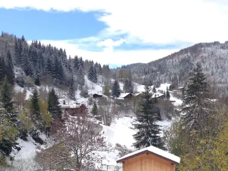 Appartement 6 pers. terrasse vue montagnes à La Clusaz : photo 10
