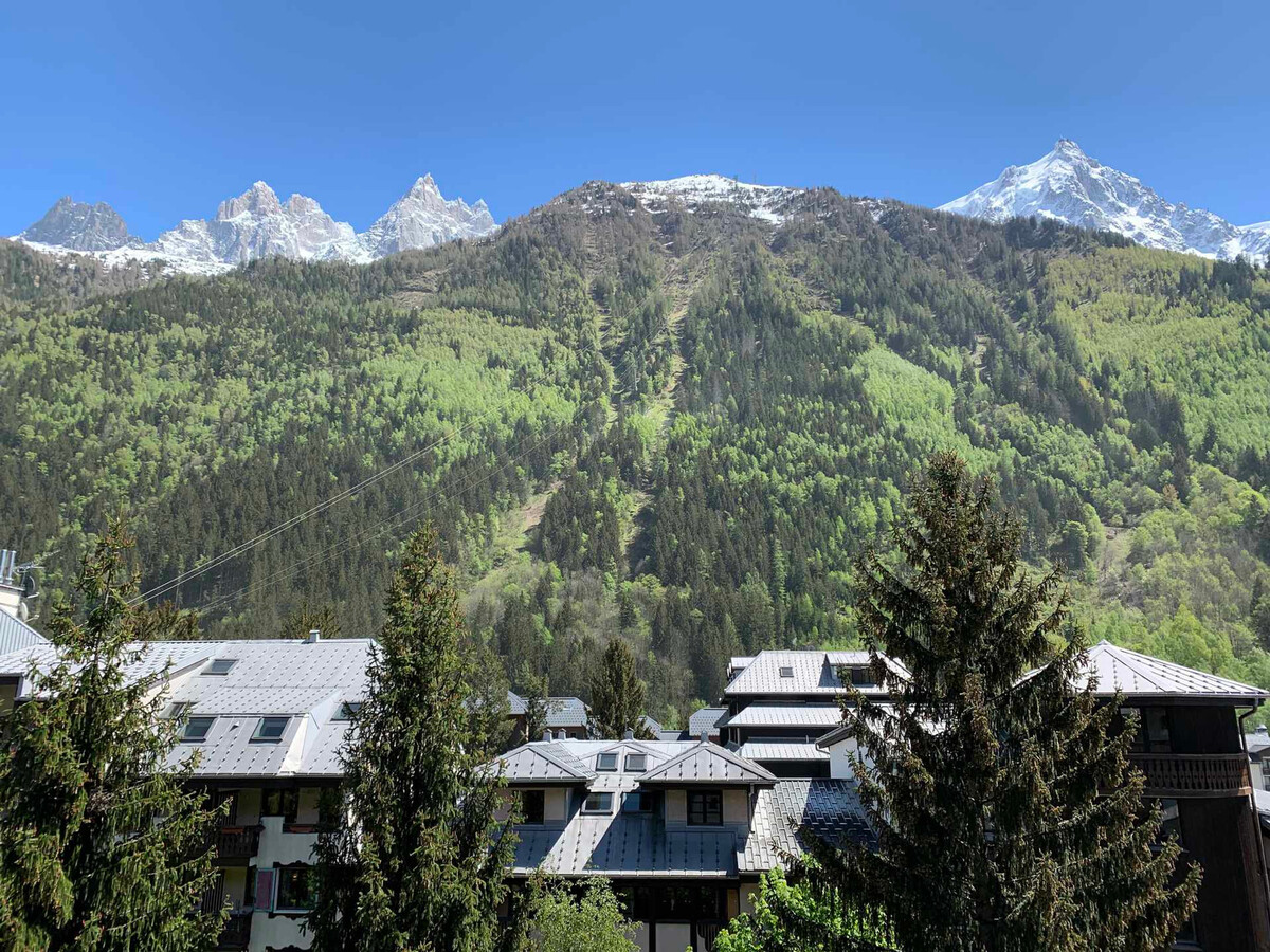 Studio 25m² Chamonix Sud, balcon Mont-Blanc, ski-bus 50m - Photo 14