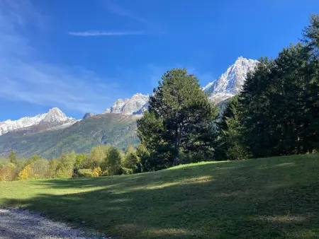 Appartement 3 pièces vue Mont-Blanc aux Houches : photo 10
