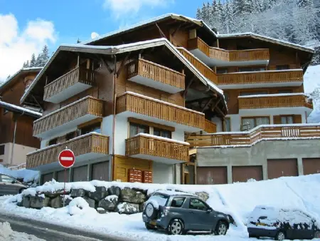 Appartement 8 pers. au pied des pistes à Morzine : photo 16