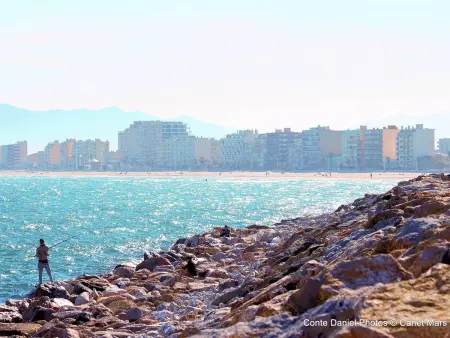 T2 Canet-en-Roussillon, piscine et parking inclus : photo 13