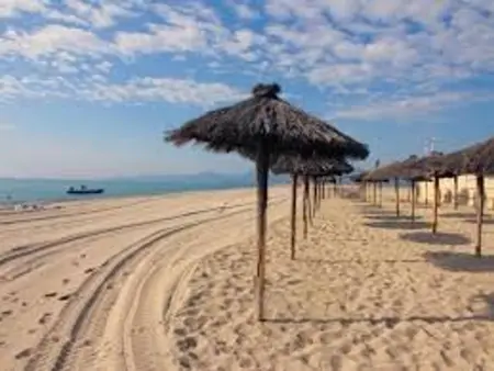 T2 Canet-en-Roussillon, piscine et parking inclus : photo 15