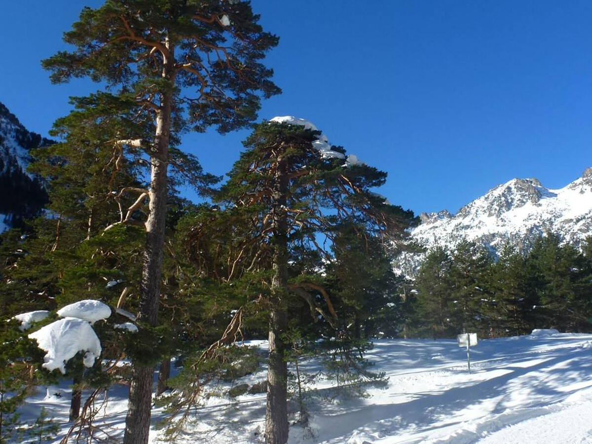 Appart T2 bis Cauterets, 50 m télécabine et thermes - Photo 15
