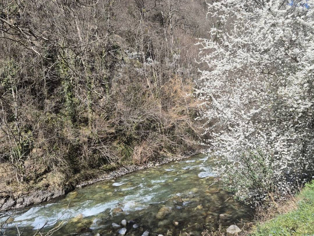 Appartement 4/6 pers au cœur de Cauterets, local à ski - Photo 18