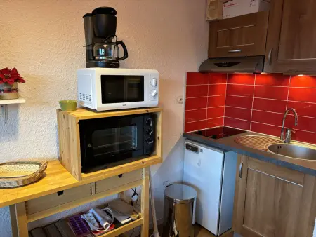 Studio cabine aux pistes, vue Écrins - Auris : photo 5