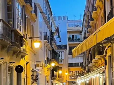 Appartement lumineux 2 chambres, grande déco ethnique, centre piéton Málaga - Photo 21
