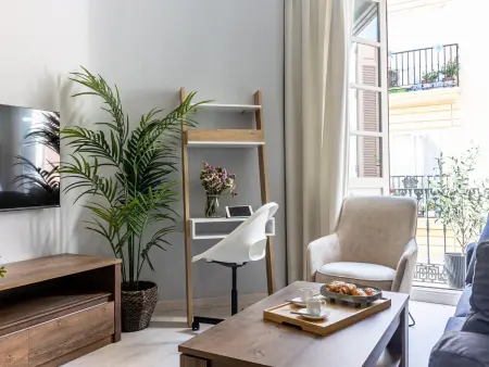 Appartement rénové centre Málaga, 1 chambre + canapé-lit : photo 4