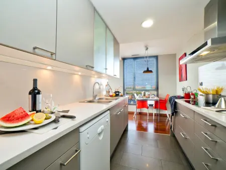 Penthouse duplex 4 chambres avec 2 terrasses et parking : photo 6