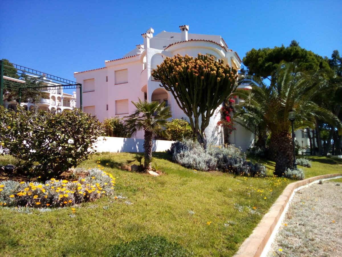 Appartement 6 pers. Peñíscola : piscine, tennis, 150m mer - Photo 1
