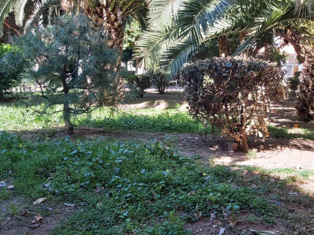 Grand appartement neuf au centre de Málaga, vue parc - Photo 16