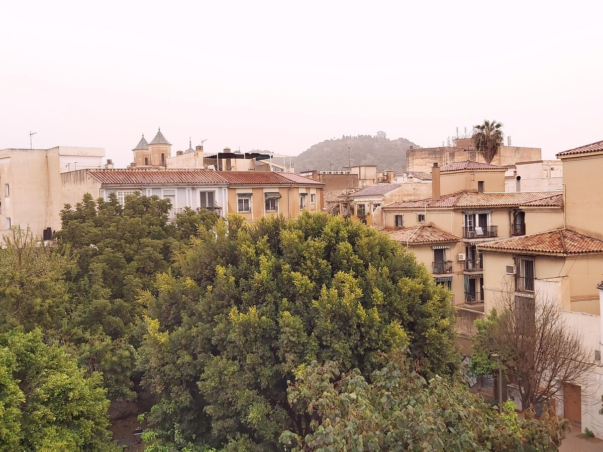 Grand appartement neuf au centre de Málaga, vue parc - Photo 19