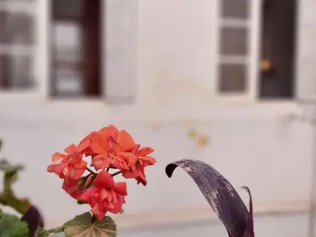 Appartement 3 pièces avec terrasse au cœur de Malaga : photo 5