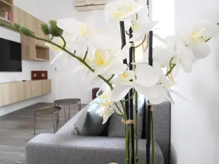 Appartement 3 pièces avec terrasse au cœur de Malaga : photo 7