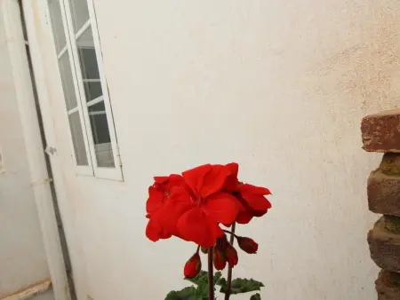 Appartement 3 pièces avec terrasse au cœur de Malaga : photo 22