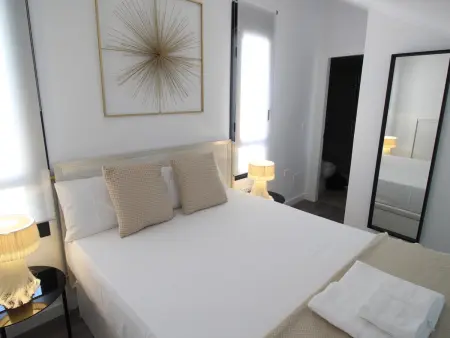 Duplex loft sud avec vue sur la cathédrale, Málaga : photo 2