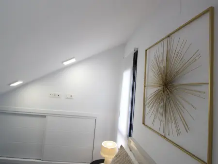 Duplex loft sud avec vue sur la cathédrale, Málaga : photo 4
