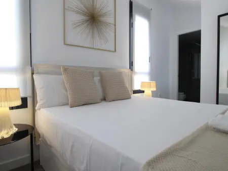 Duplex loft sud avec vue sur la cathédrale, Málaga : photo 16