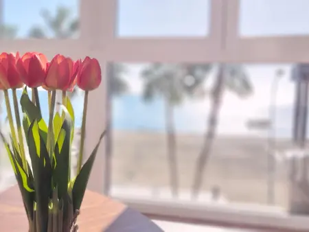 Location appartement à Málaga, Appartement à Malagueta avec terrasse et vue sur mer