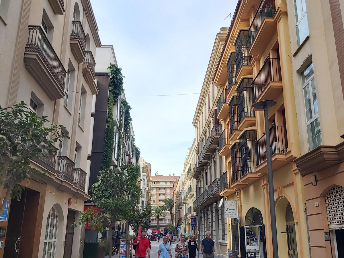 Appartement moderne Soho Málaga, près port et théâtre - Photo 17