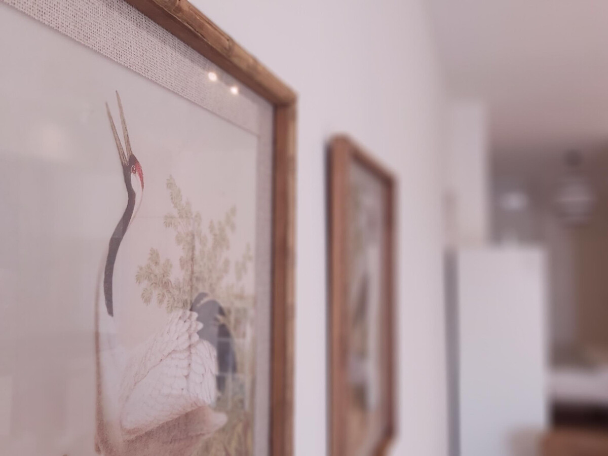 Appartement plein sud au cœur de Málaga, 1 chambre - Photo 8