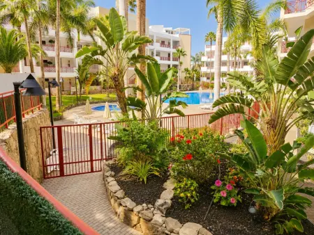 Appartement Palm-Mar : terrasse vue piscine, 3 bassins, 600m mer : photo 24