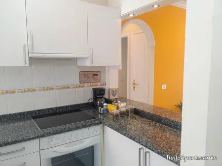 Appartement en 1ère ligne de mer, Costa del Silencio : photo 4