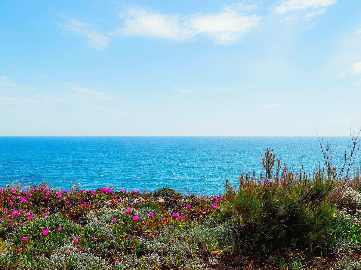 Bungalow 65m² à 50m de Cala Calafató, L'Ametlla de Mar - Photo 23