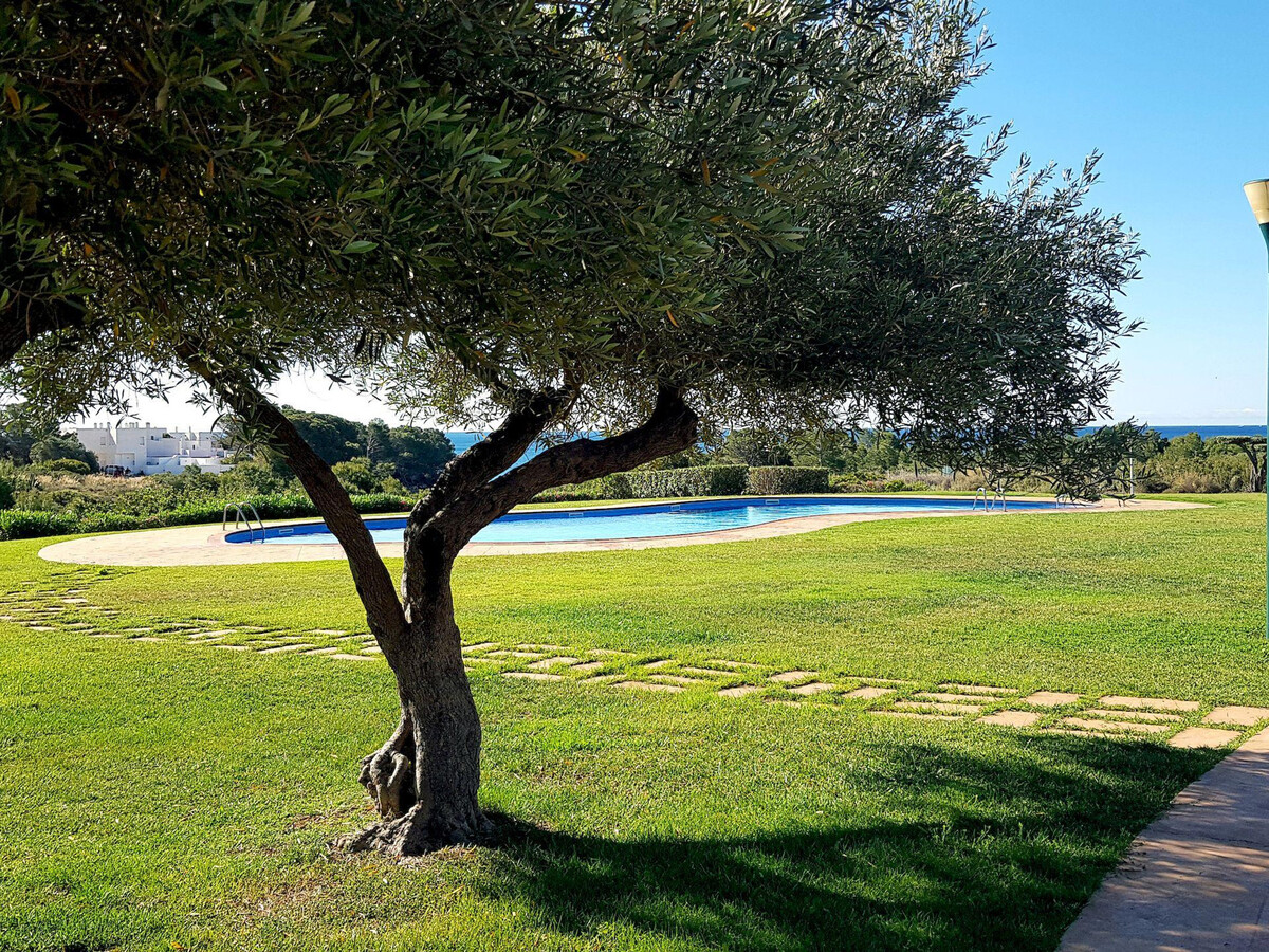 Appartement RDC 1ère ligne, jardin et piscine à L'Ametlla de Mar - Photo 5