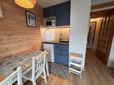 Studio cabine au pied des pistes à Risoul, 4 couchages, animaux acceptés : photo 9