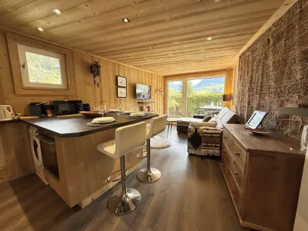Studio cabine 4 pers à Praz-sur-Arly, 300m du village : photo 7