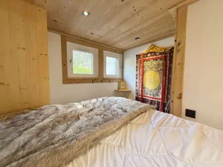 Studio cabine 4 pers à Praz-sur-Arly, 300m du village : photo 13