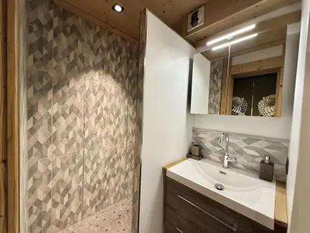 Studio cabine 4 pers à Praz-sur-Arly, 300m du village : photo 14