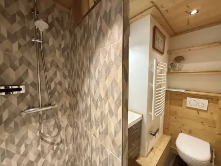 Studio cabine 4 pers à Praz-sur-Arly, 300m du village : photo 15