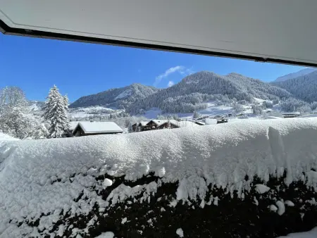 Studio cabine 4 pers à Praz-sur-Arly, 300m du village : photo 18