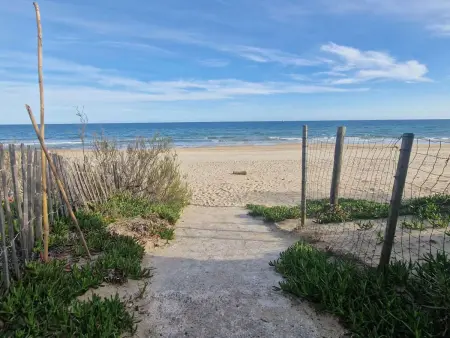 Appartement 2 pièces accès plage et piscine partagée à Marseillan-Plage : photo 18