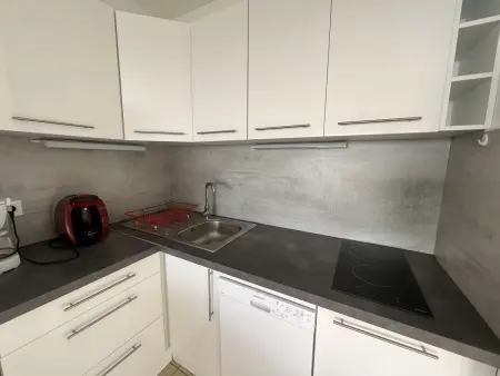 3P, Parking, Calme, Lave-Linge, Lave-Vaisselle, Animaux admis - Photo 8