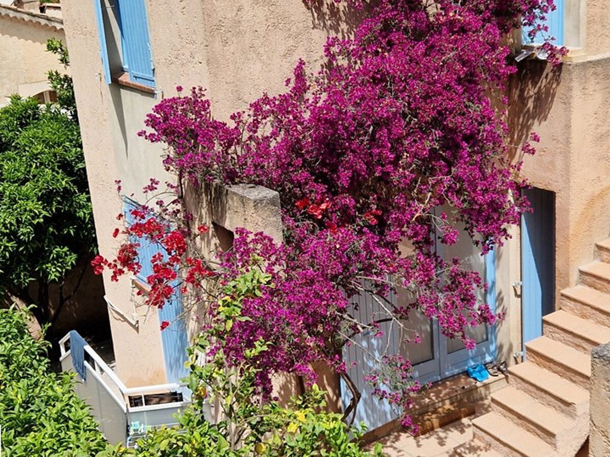 Appartement Hyères : 2 pièces, jardin privé, 5 min plage - Photo 2