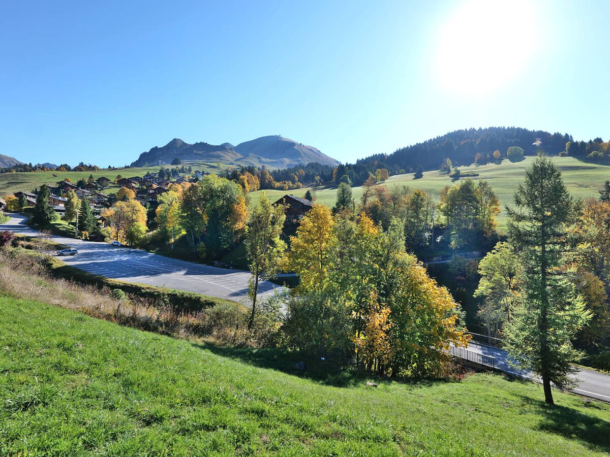 Studio 4 pers. balcon sud au Chinaillon, 600 m des pistes - Photo 11