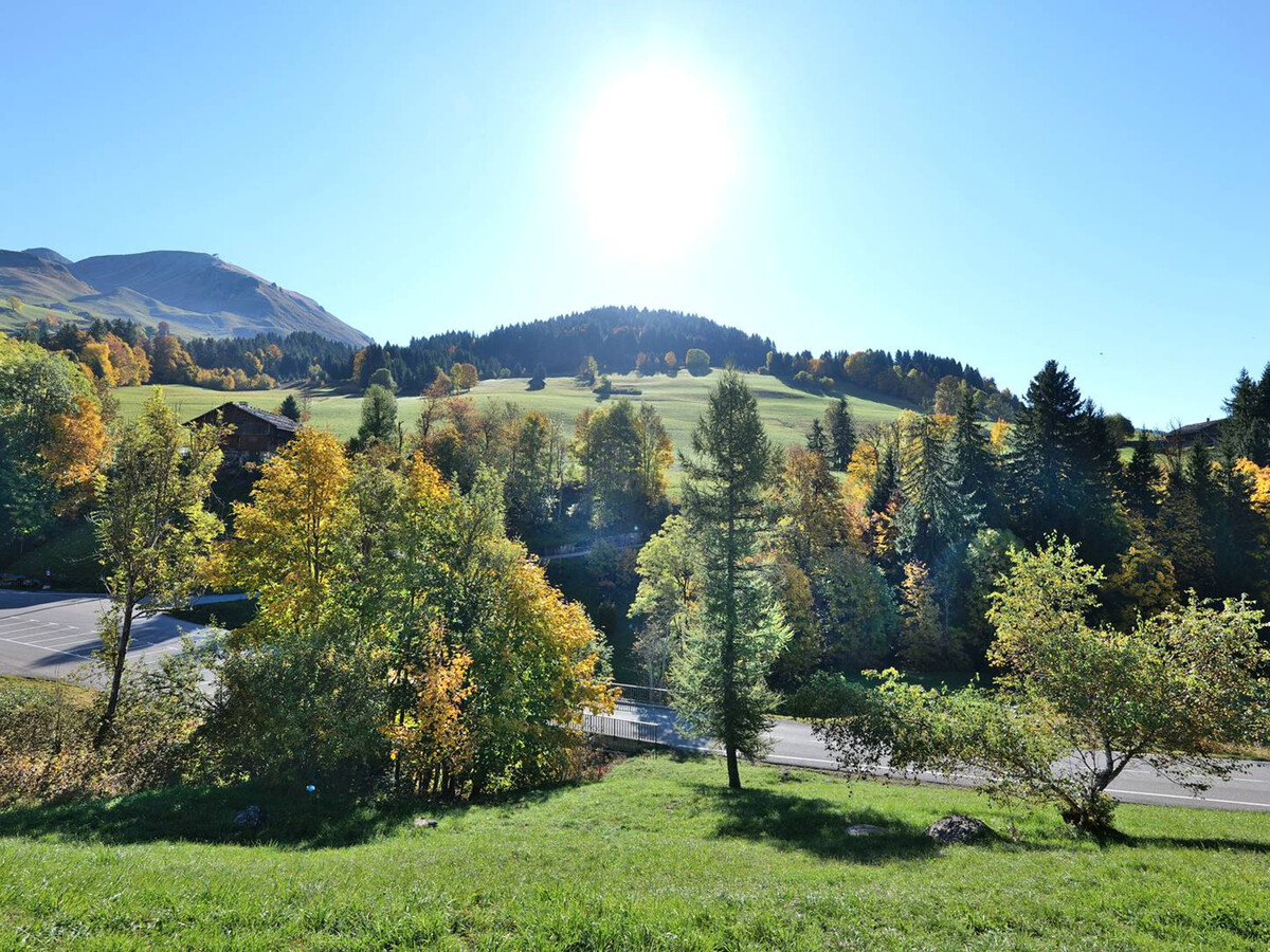 Studio 4 pers. balcon sud au Chinaillon, 600 m des pistes - Photo 12