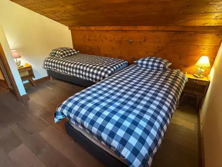 Appartement 4 pièces 6 pers, balcon Sud, cheminée à Bourg-Saint-Maurice : photo 9