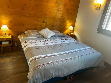 Appartement 4 pièces 6 pers, balcon Sud, cheminée à Bourg-Saint-Maurice : photo 10