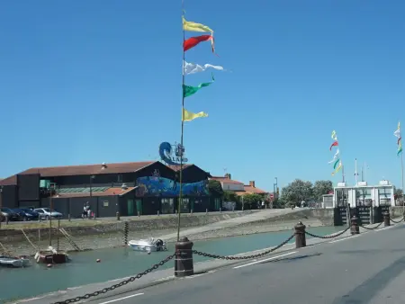 Studio avec jardinet, proche plage et commerces, La Guérinière - Photo 14