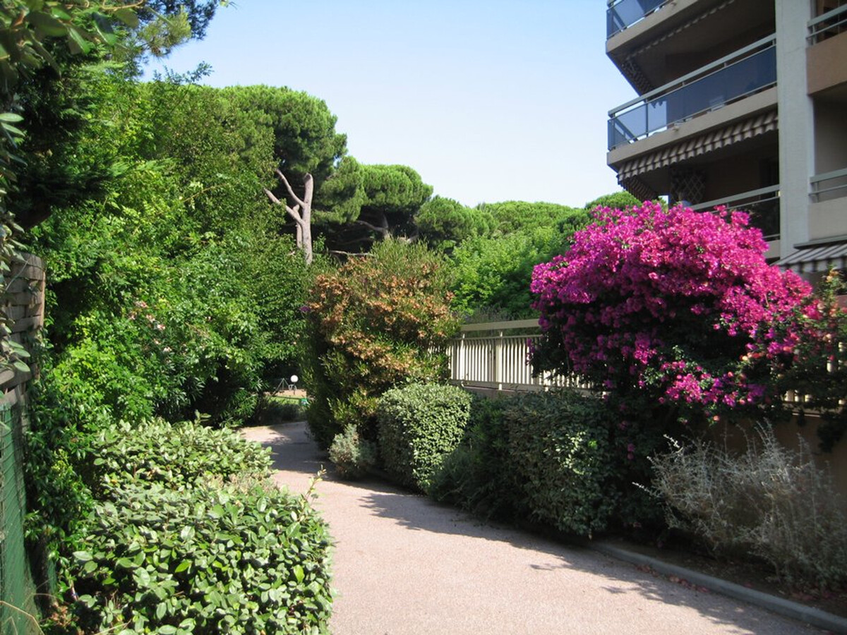 Appartement 2 pièces Hyères : terrasse 62m², port et plages - Photo 10