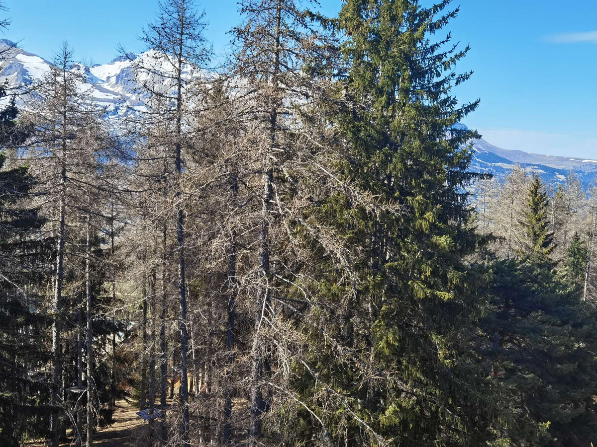 Duplex 12 pers., 5 ch., vue pistes à 100m télémix - Photo 5