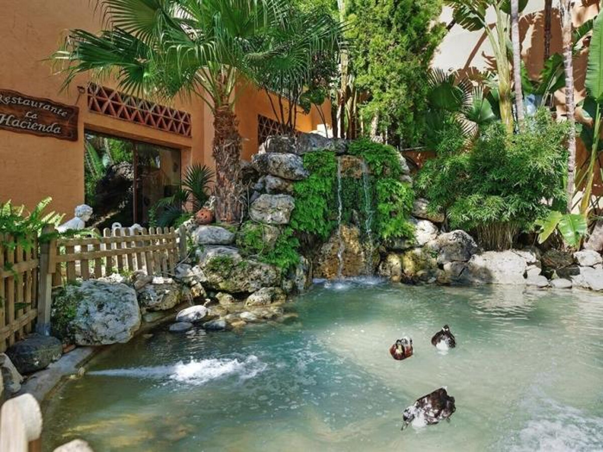 Appartement 1 chambre avec piscine à Mijas - Photo 17