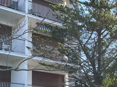 Superbe T2 avec balcon et parking, idéalement situé à Arcachon - Photo 15