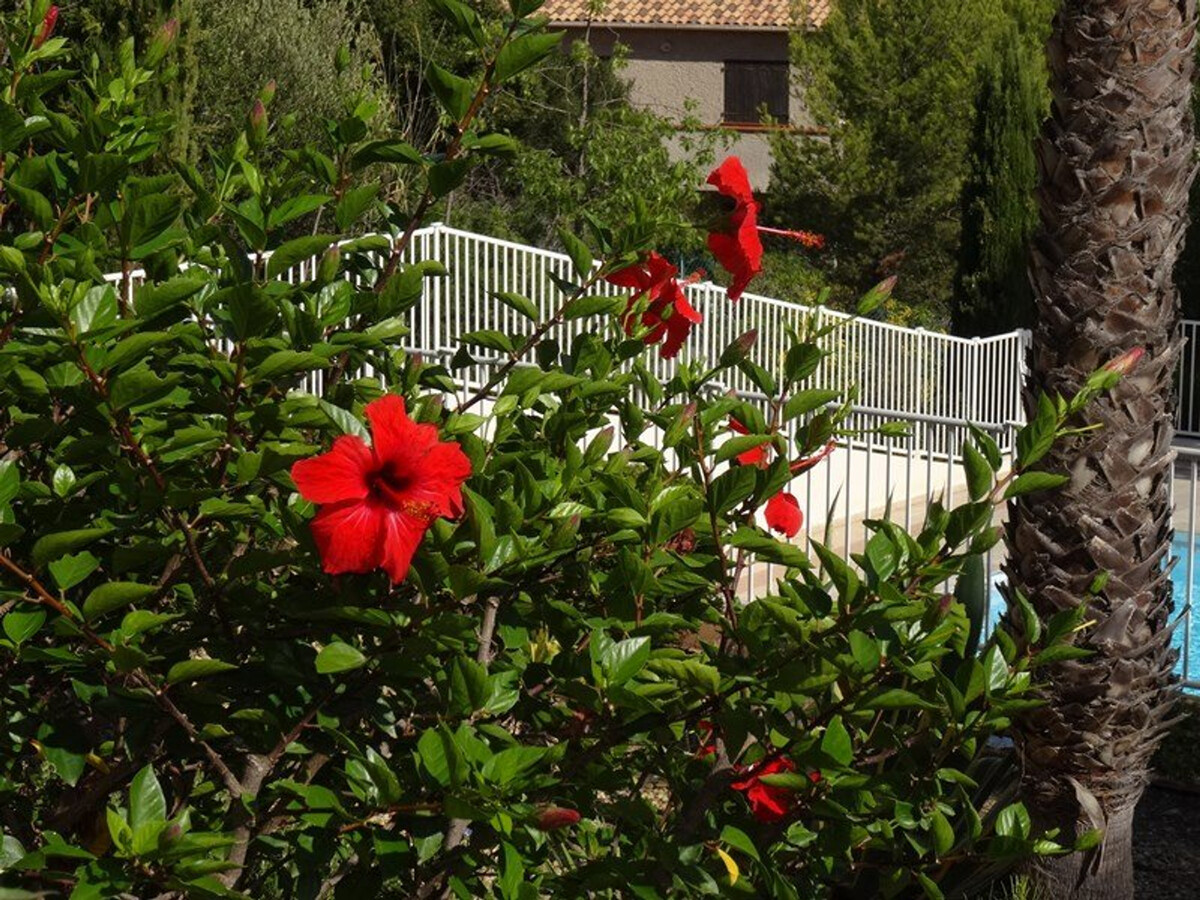 T2 rez-de-jardin Giens avec grande terrasse et piscine - Photo 9