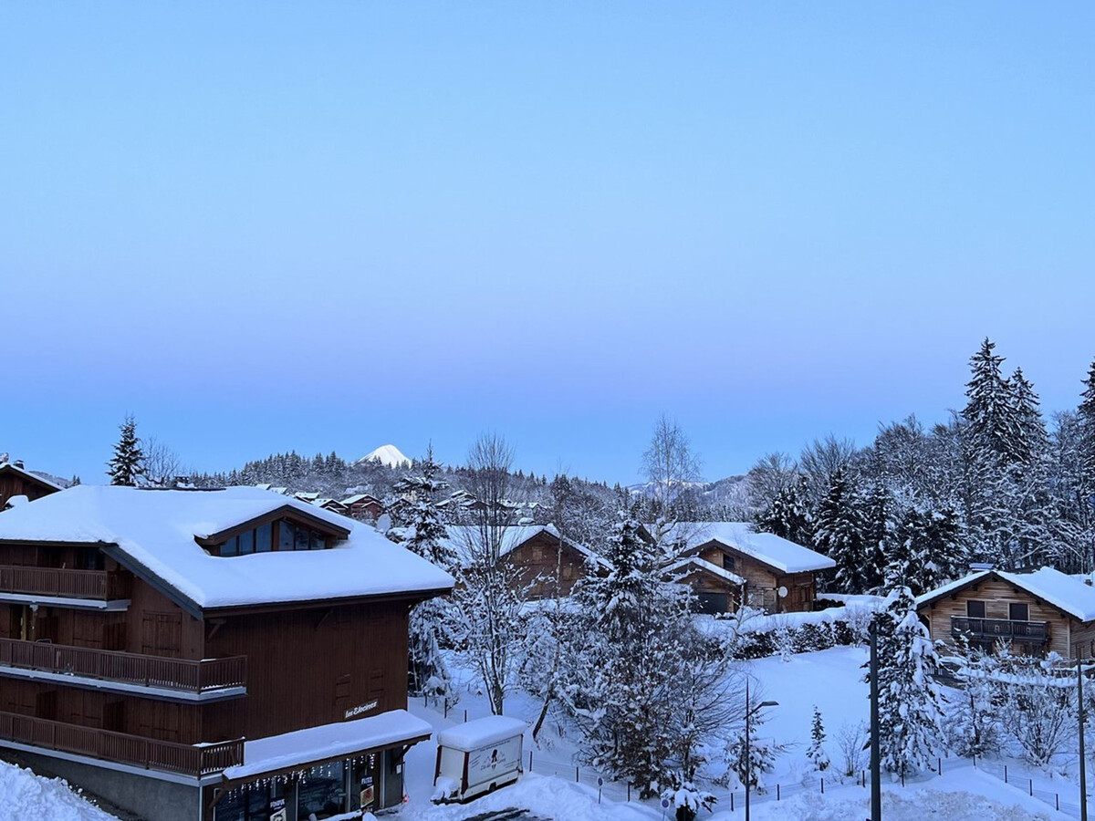 Studio-Cabine 4 pers aux Carroz, balcon ouest, 600m pistes - Photo 9