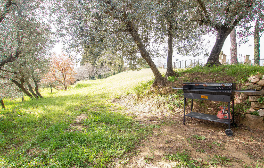 ALLORO, Appartement 4 personnes à Volterra - Photo 6